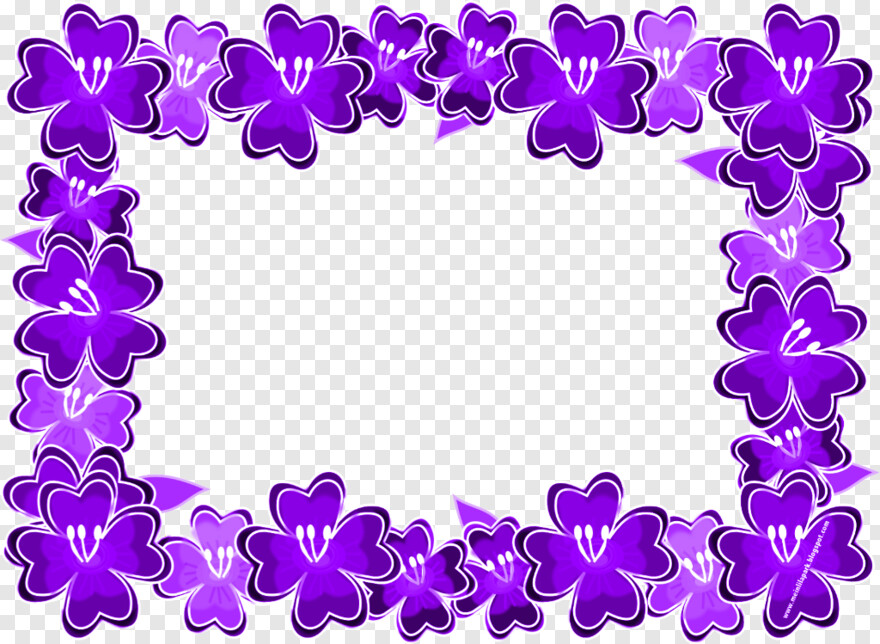 purple-flowers # 329974