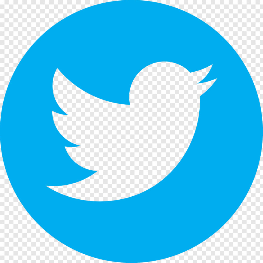 twitter-bird-logo # 313650