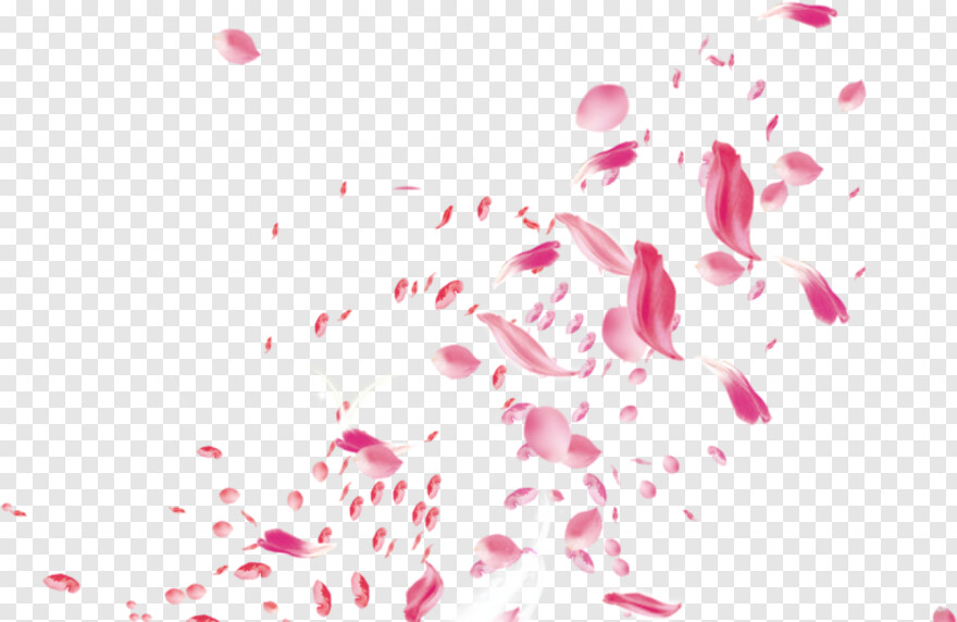 flower-petals # 846968