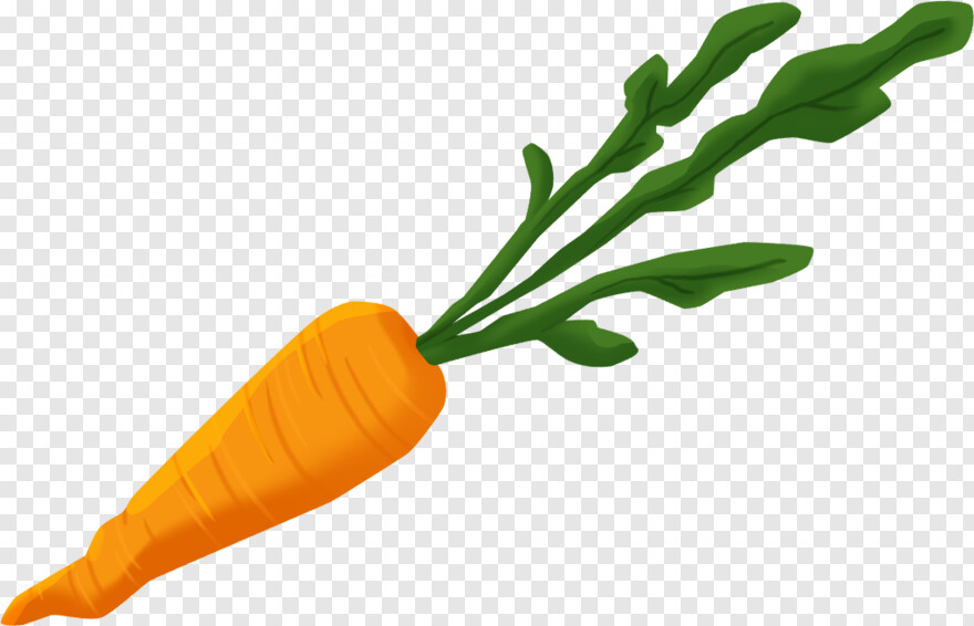 carrot # 433722