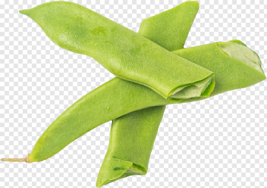 green-beans # 388736