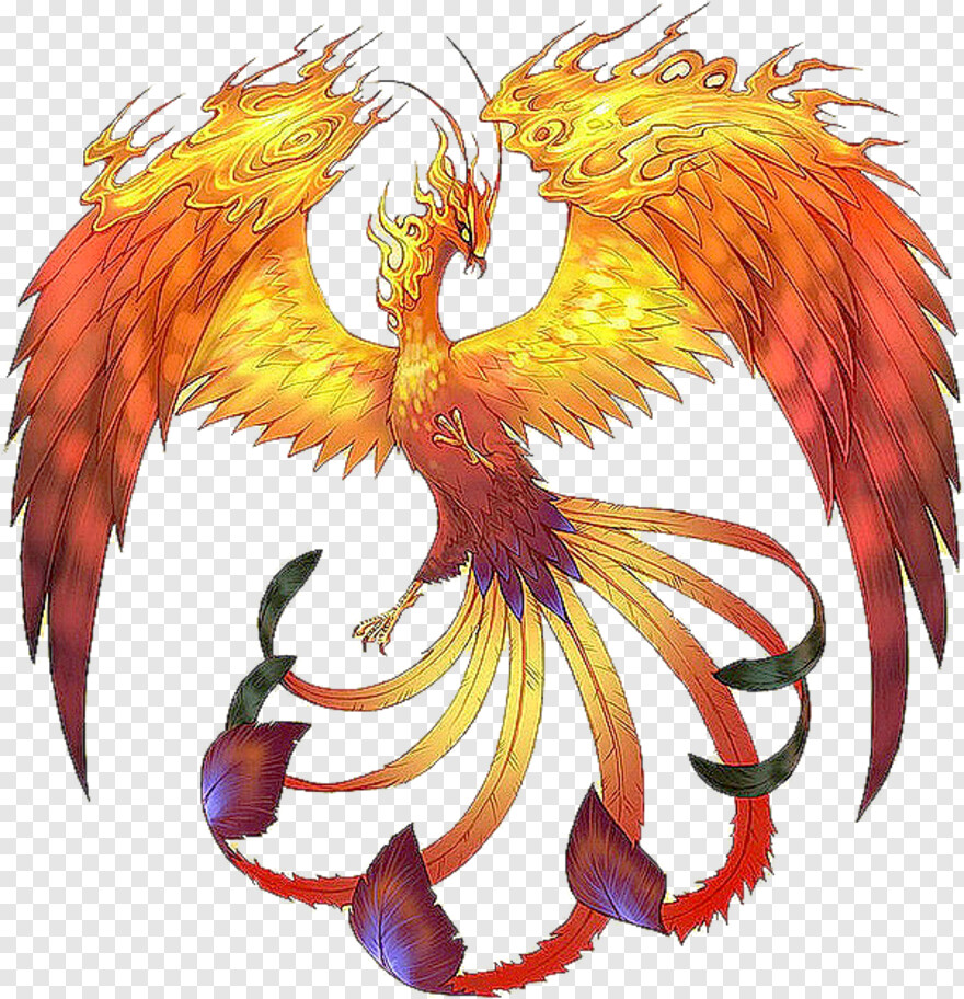 phoenix # 360115
