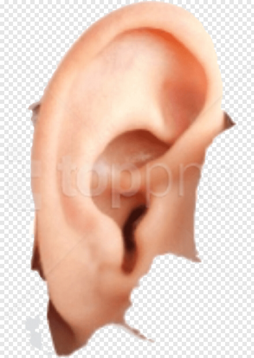 ear-rings # 877477