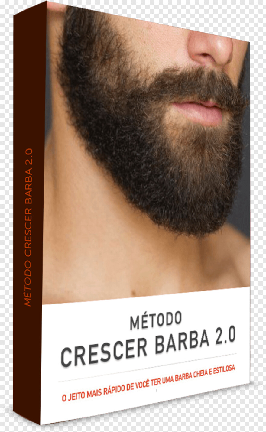 barba # 404682