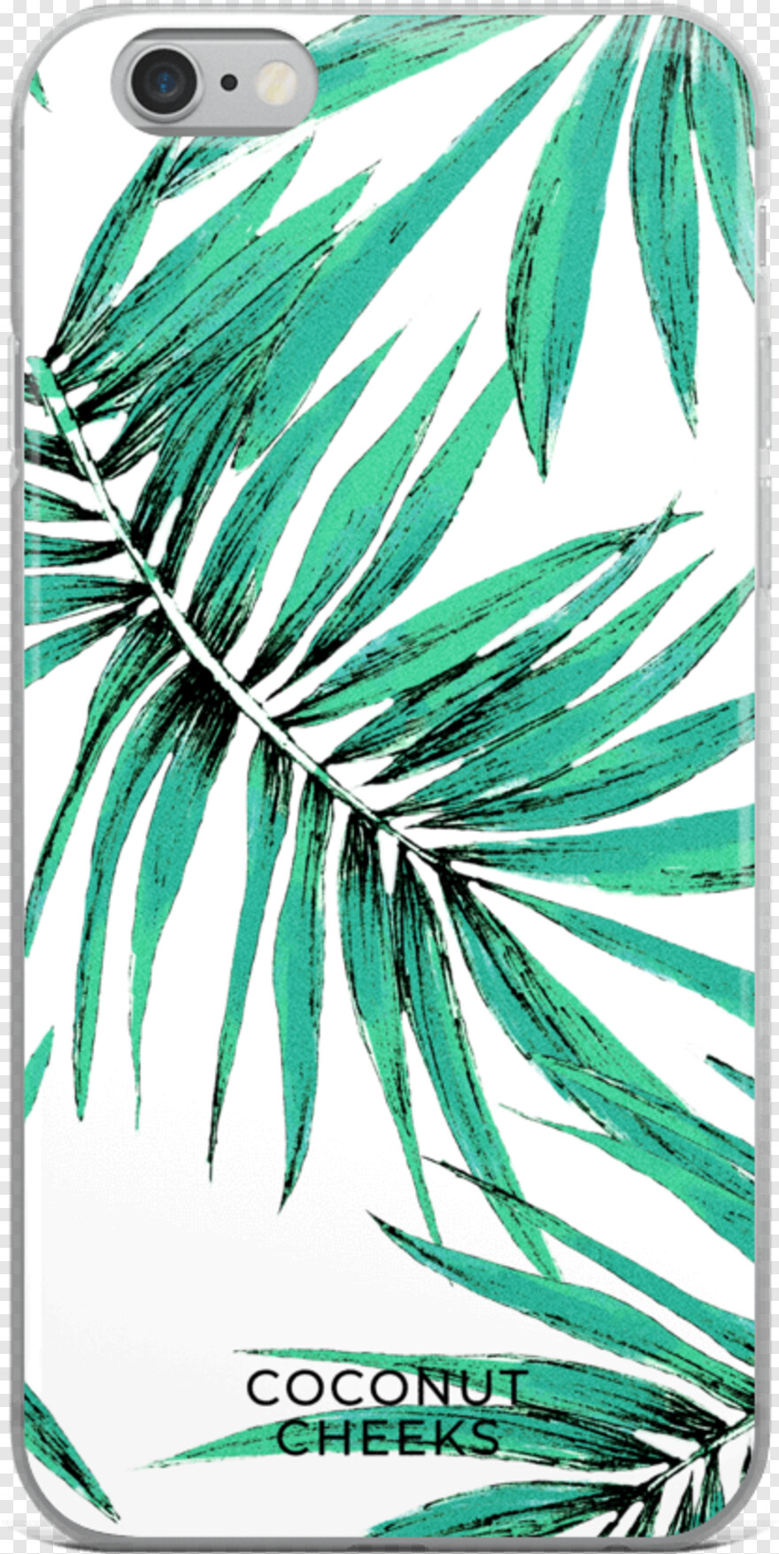 palm-leaves # 1054523