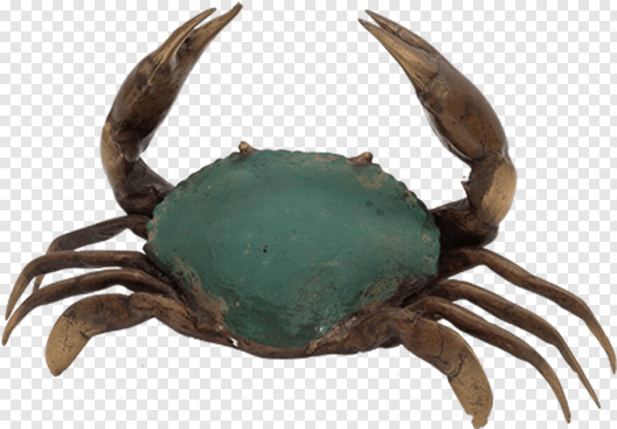 blue-crab # 343404