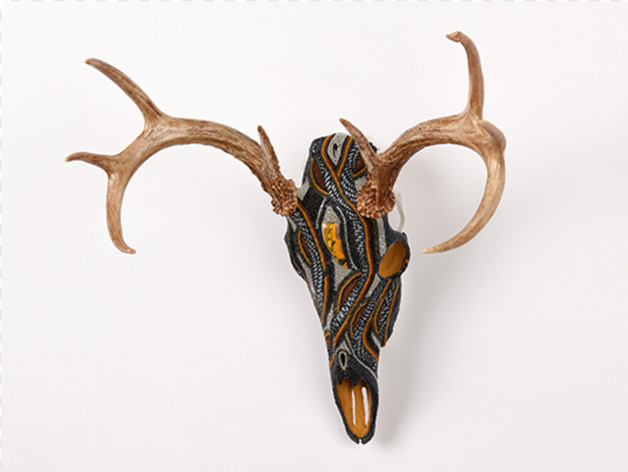 deer-skull # 512630