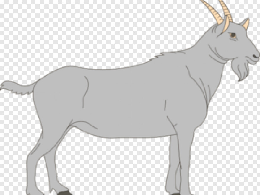 goat-head # 350481