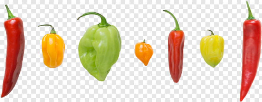 chili-pepper # 658419