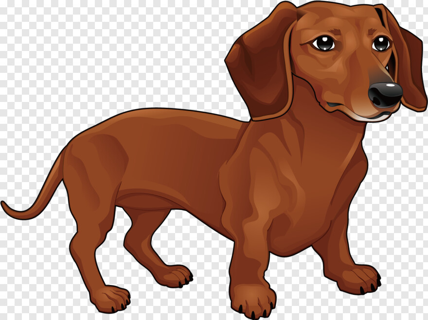 dachshund-silhouette # 930155