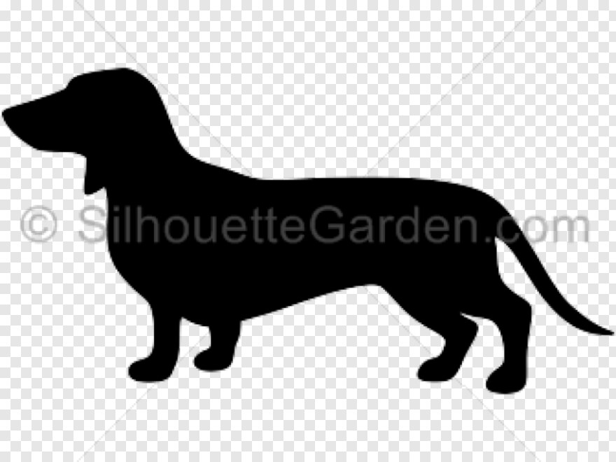 dachshund-silhouette # 930124