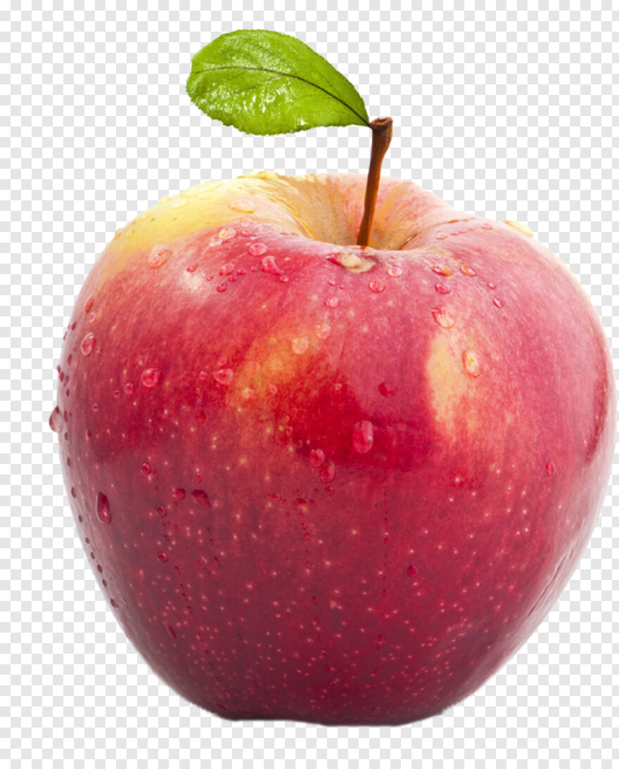 white-apple-logo # 498473