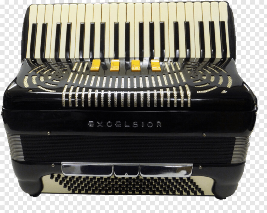 accordion # 577533