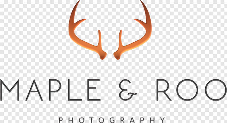  Photography Icon, Maple Leaf, Japanese Maple, Maple Tree, Photography, Canadian Maple Leaf