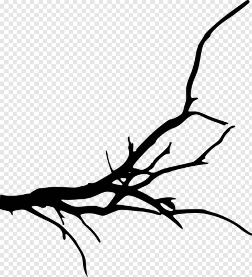 tree-branch-silhouette # 461396