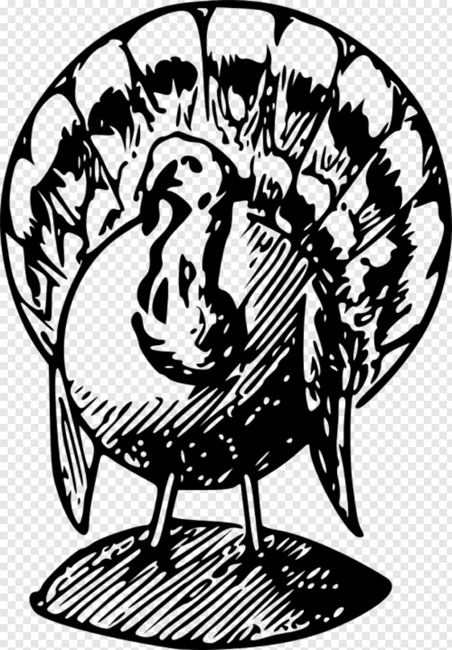 thanksgiving-turkey # 356548