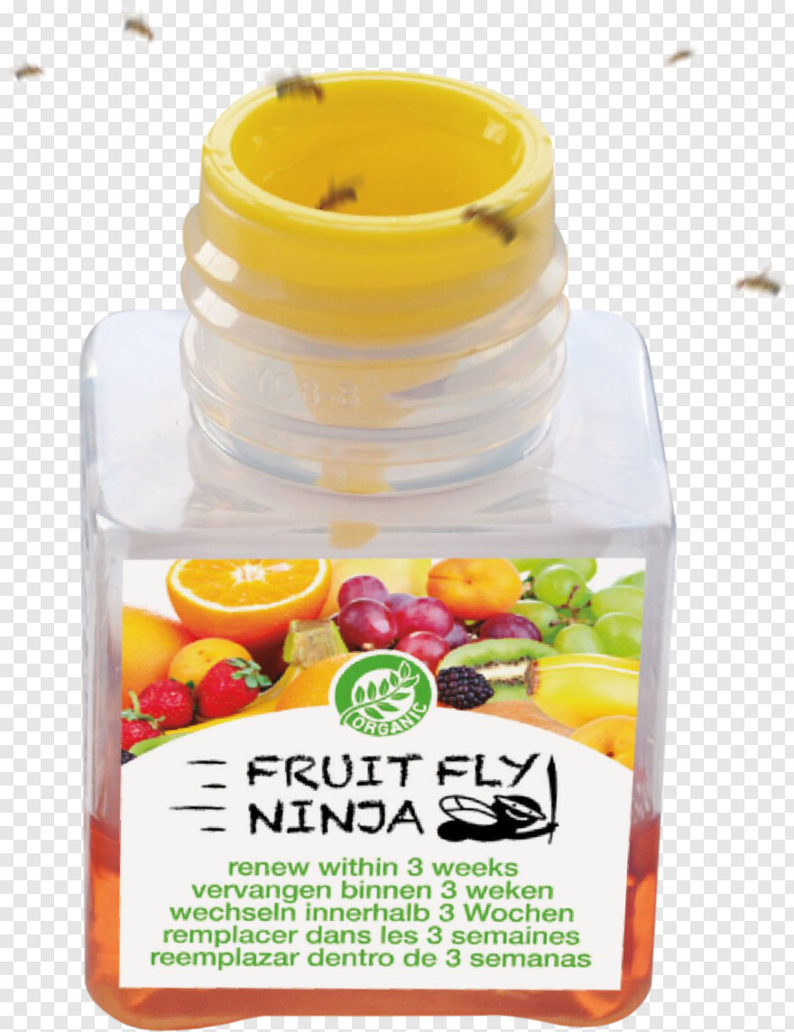  Ninja Star, Fruit Tree, Fly, Fruit Salad, Ninja, Ninja Silhouette