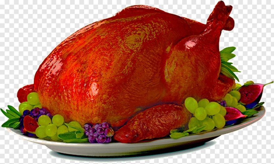 thanksgiving-turkey # 524546