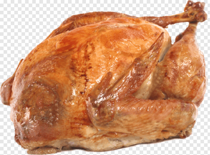 thanksgiving-turkey # 430341