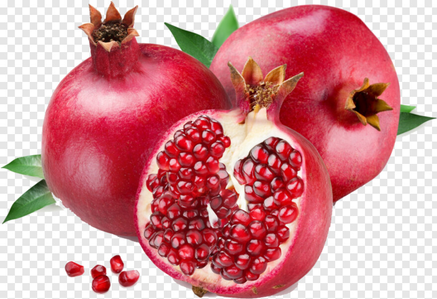 pomegranate # 648371