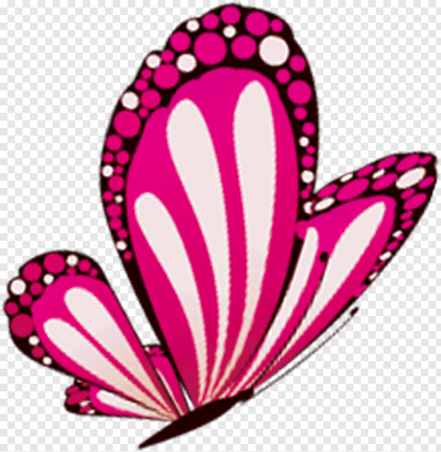 pink-butterfly # 1094127