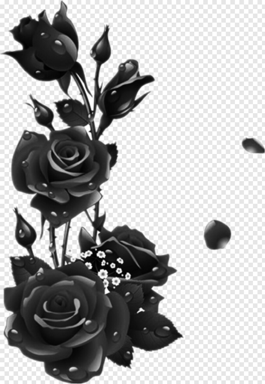 black-flower # 353425