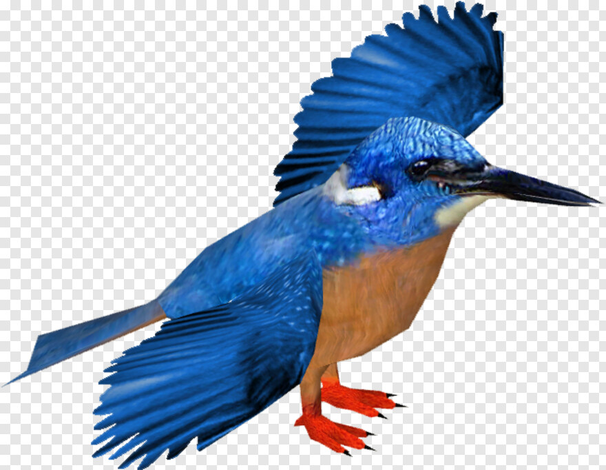 kingfisher-logo # 373773
