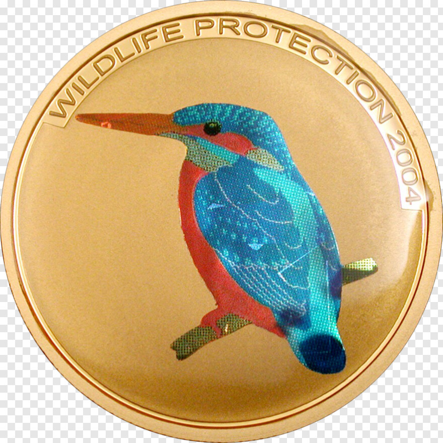 kingfisher-logo # 754313