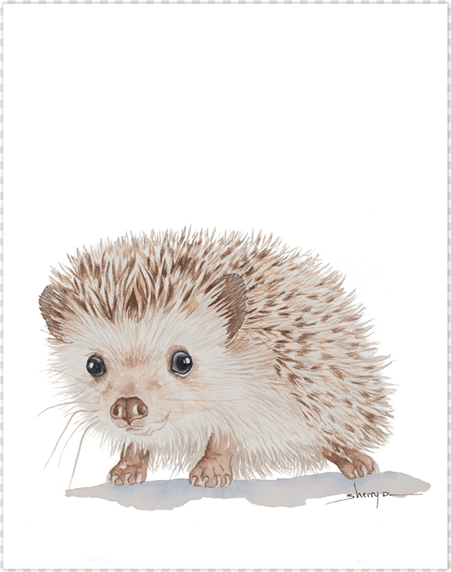 hedgehog # 767113