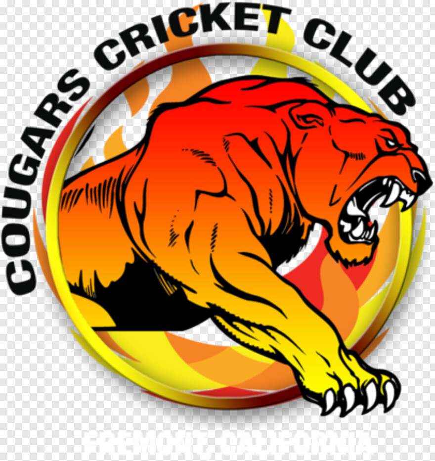  Cricket Clipart, Cricket Vector, Puma, Cricket Cup, Puma Logo, Cricket Images