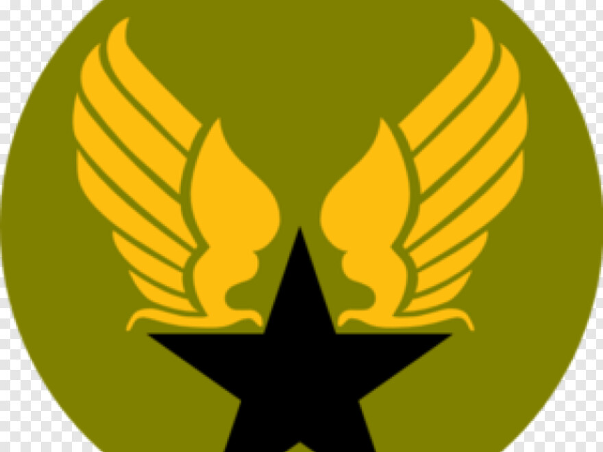 army-star # 484104