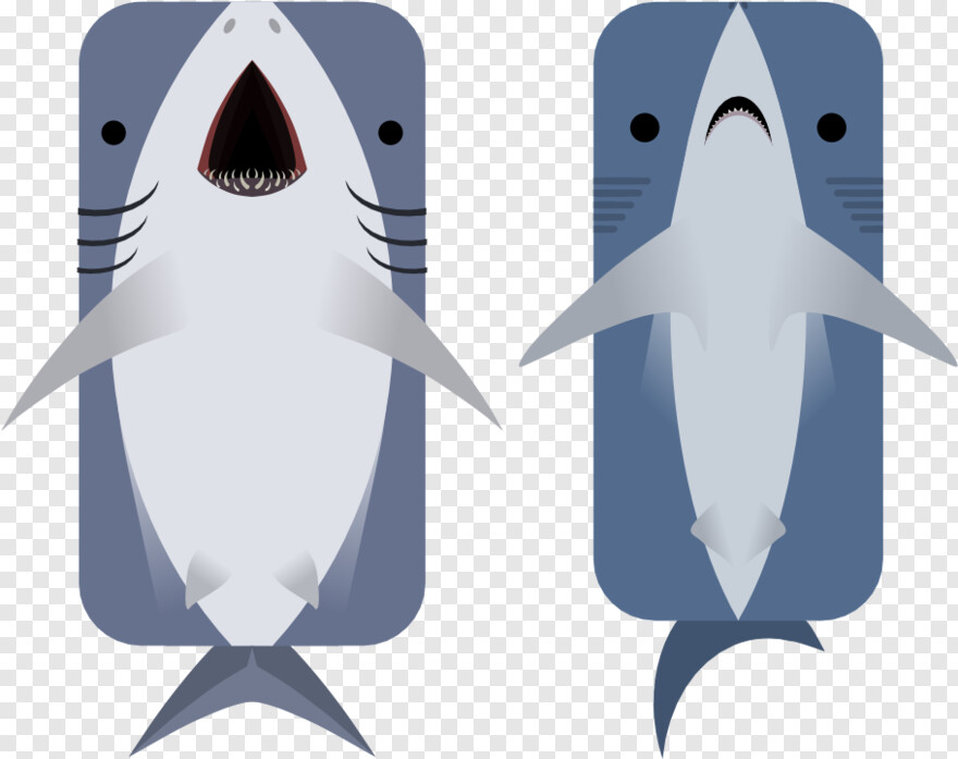 great-white-shark # 512611