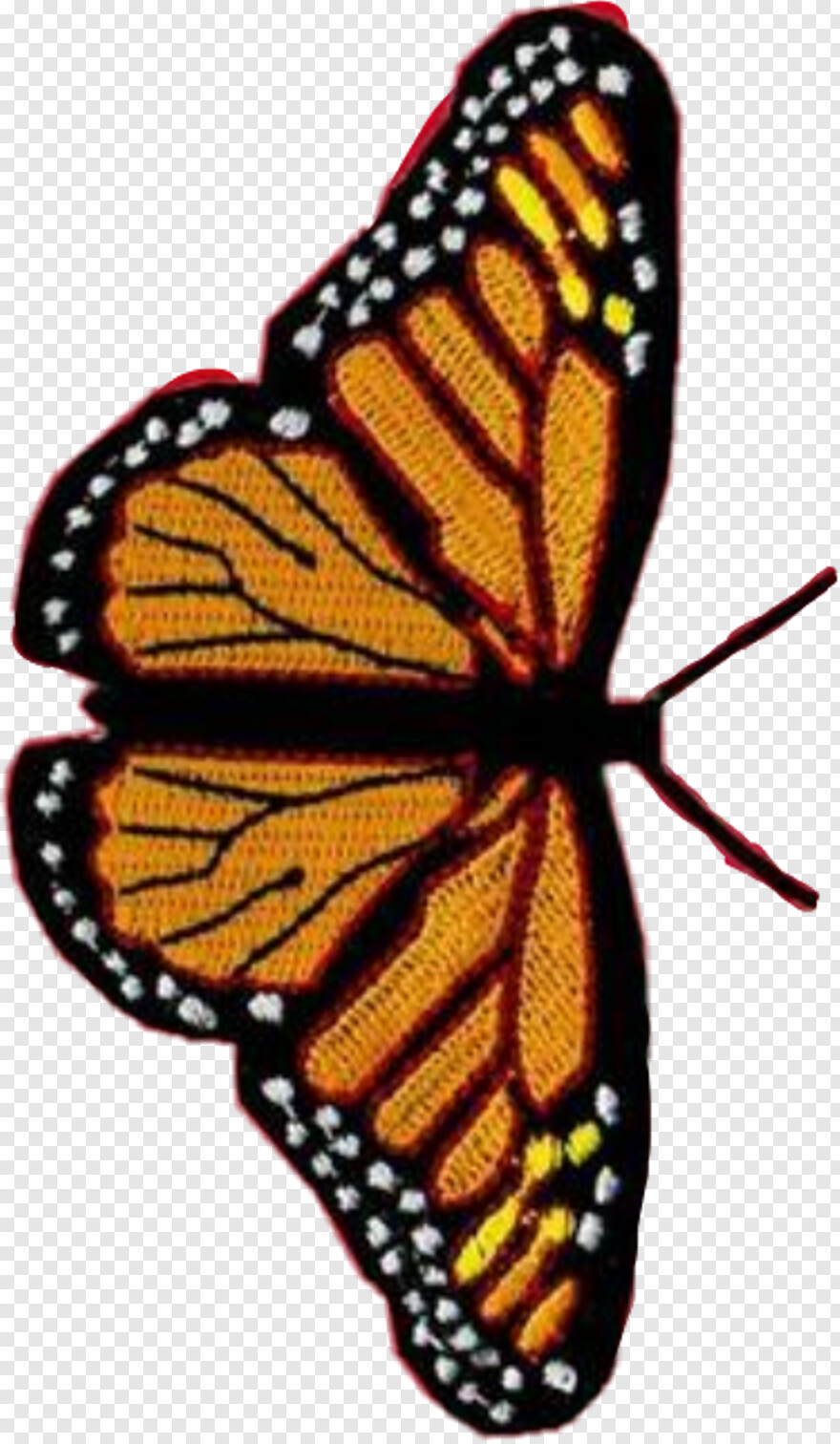 monarch-butterfly # 559016