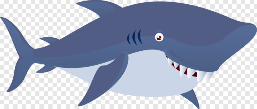 shark-attack # 623684