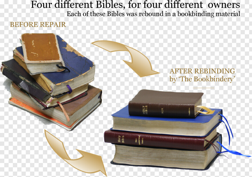 bible-study # 367737