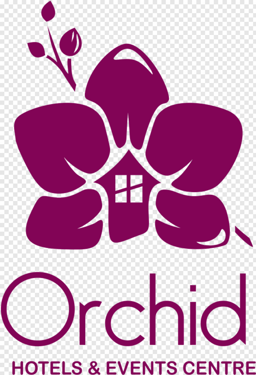 orchid # 313502