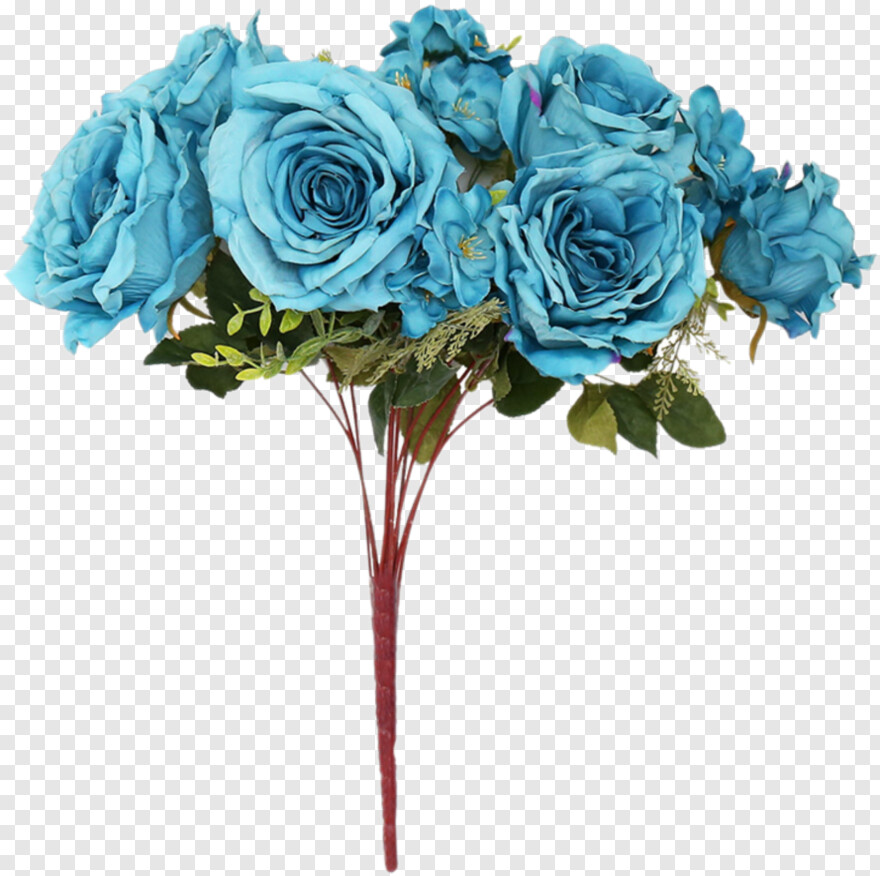 blue-rose # 342528