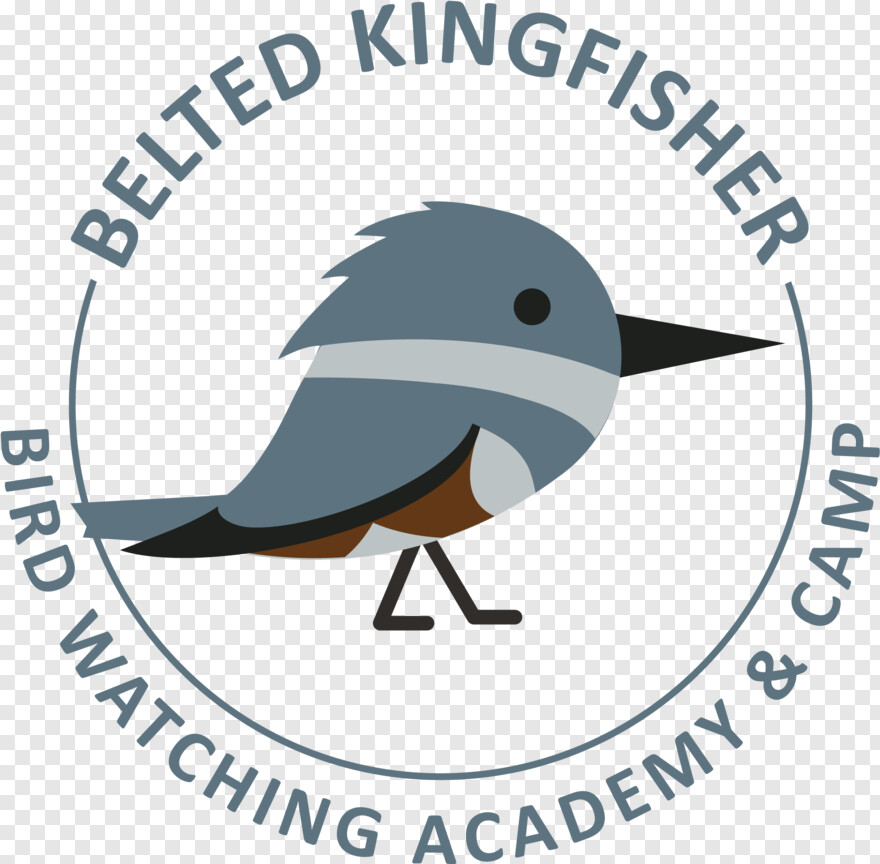 kingfisher-logo # 373755