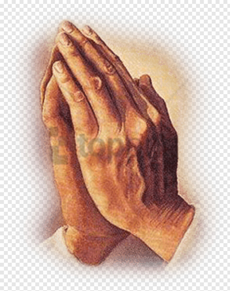 praying-hands # 645155