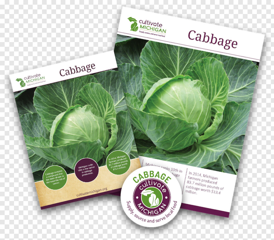 cabbage # 1089901