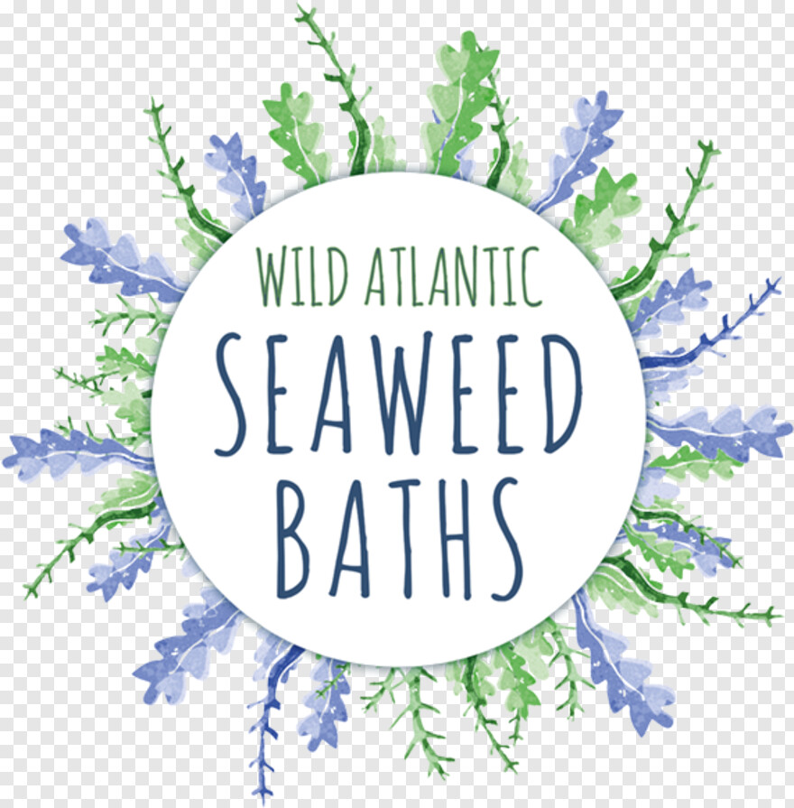 seaweed # 395538