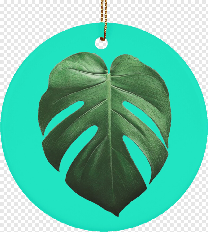 tropical-leaf # 1042904