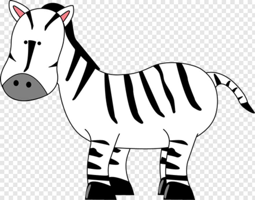 zebra # 356530