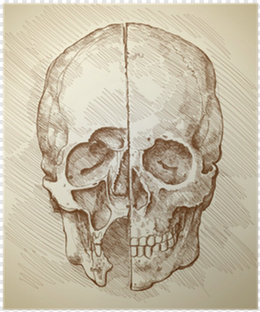 black-skull # 1058498