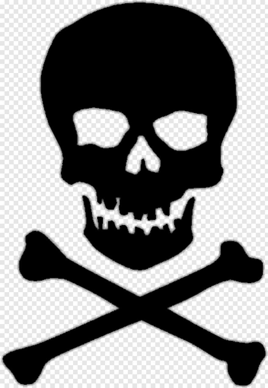  Pirate Skull, Bull Skull, Black Skull, Skull Tattoo, Skull And Bones, Skull And Crossbones