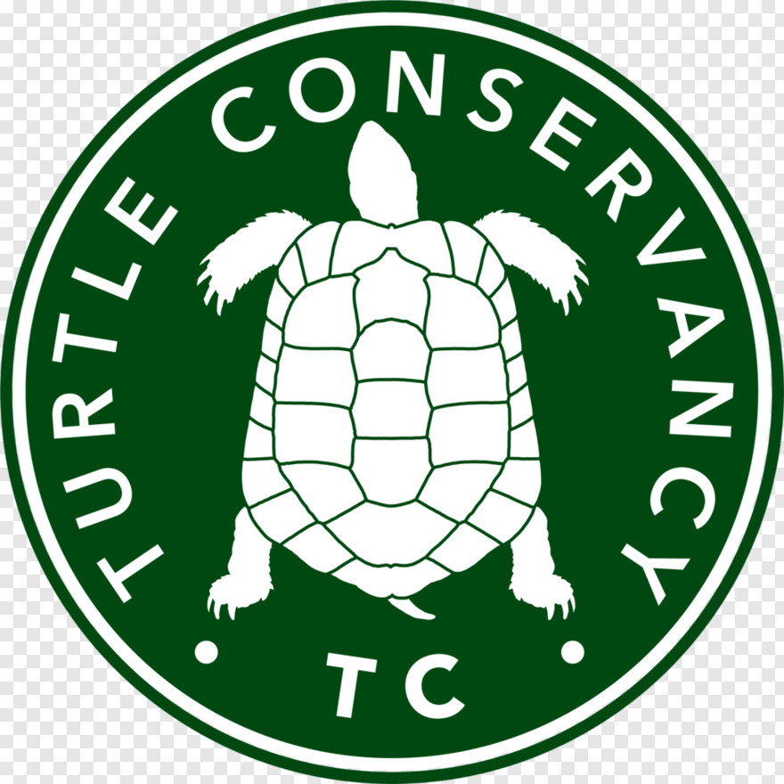  Turtle Silhouette, Turtle, Turtle Shell, Turtle Clipart, Sea Turtle