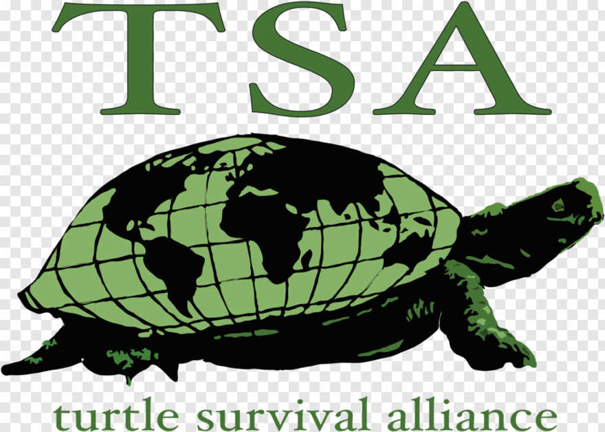 turtle-silhouette # 538577