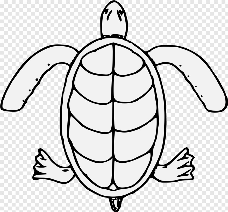 sea-turtle # 912955