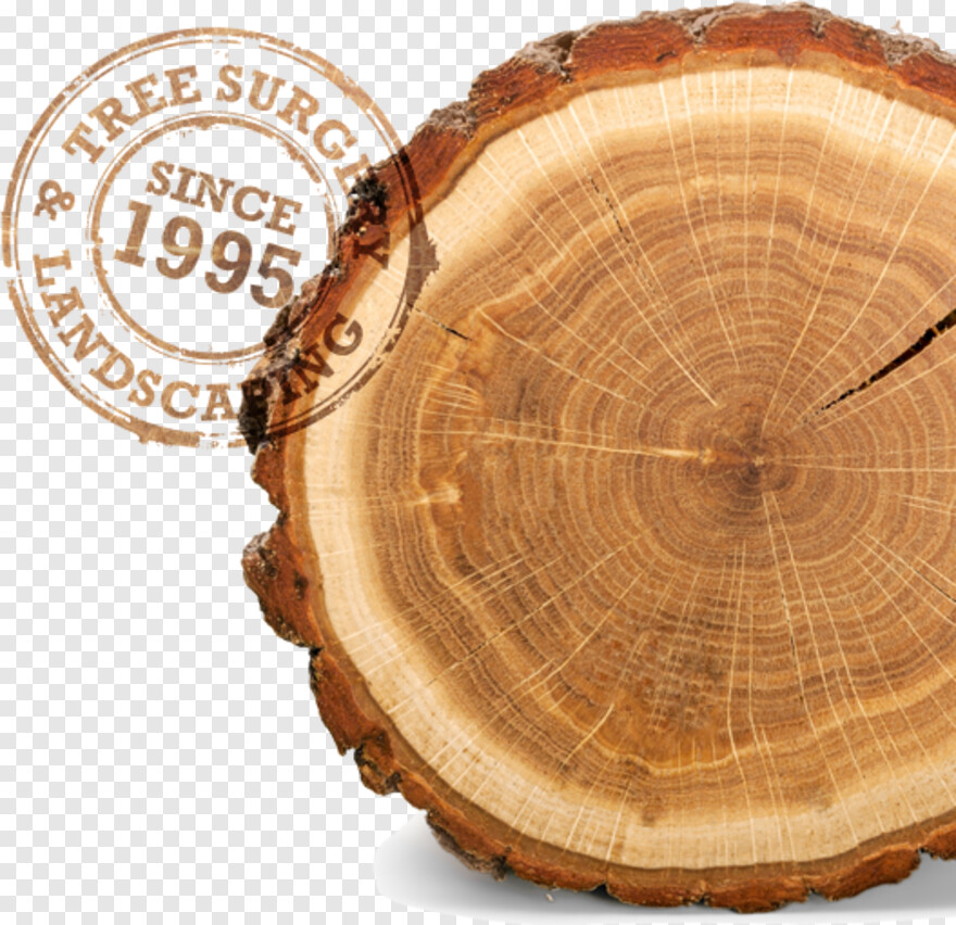 wood-log # 460113