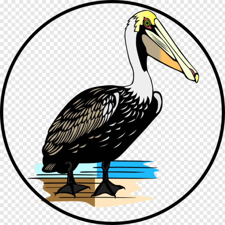 pelican # 887591